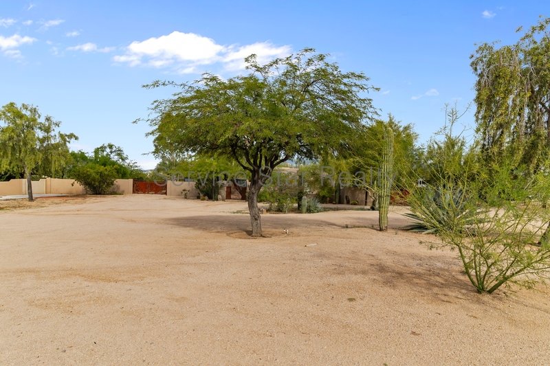 Beautiful Desert Oasis in Cave Creek! property image