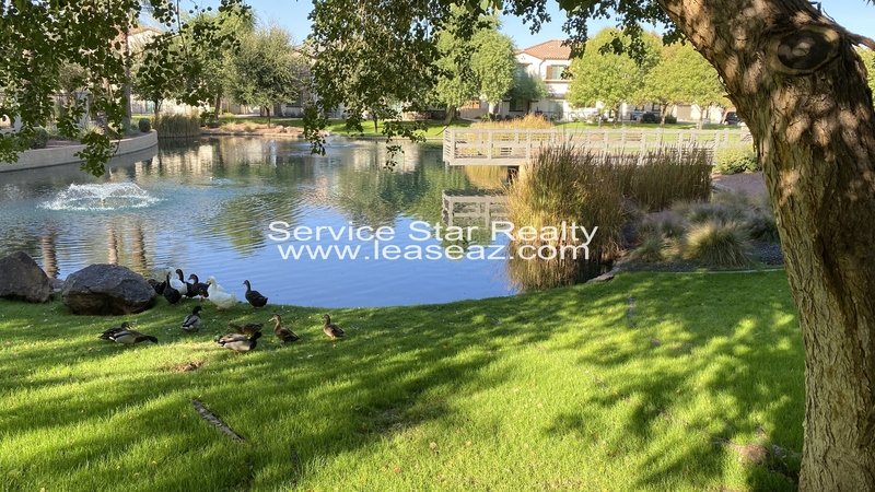 Gorgeous Gilbert 2 Bedroom, 2 Bath Smart Home!! property image