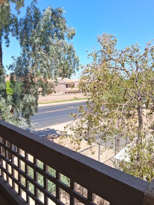 Remodeled 1 bed 1 bath property image