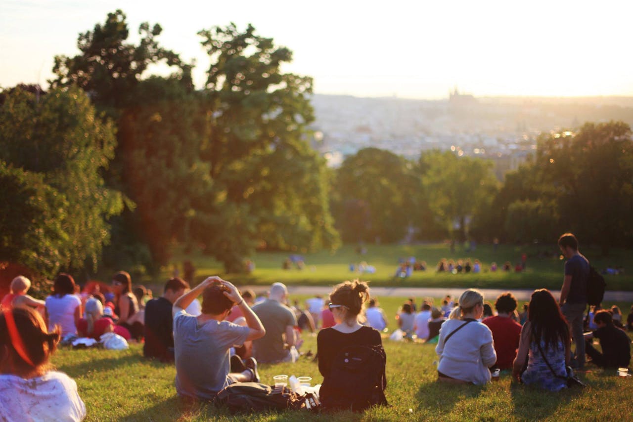 people at park at sunset