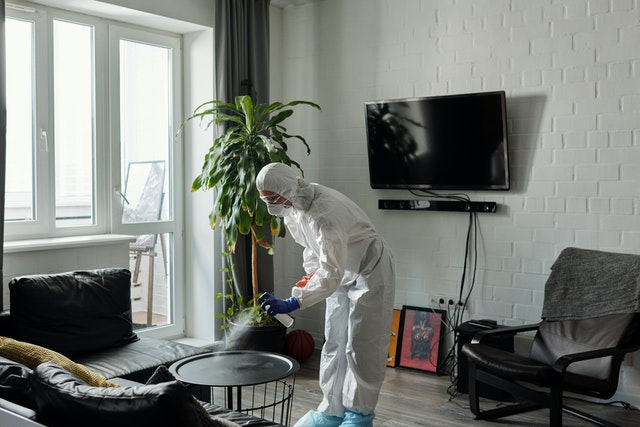 extreme cleaning costs