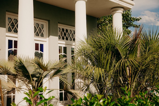 green house with white pillars and spiky plants